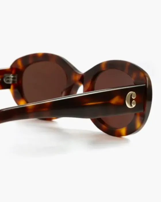 Online Corlin - Carpi aurinkolasit, tortoise - brown Aurinkolasit