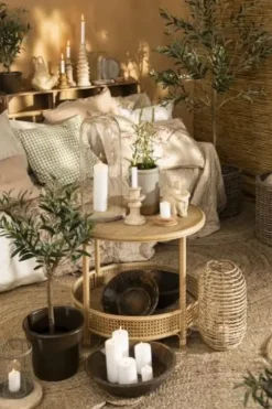 New Ib Laursen - Oliivipuu S h75cm Piha Ja Terassi|Oliivipuut
