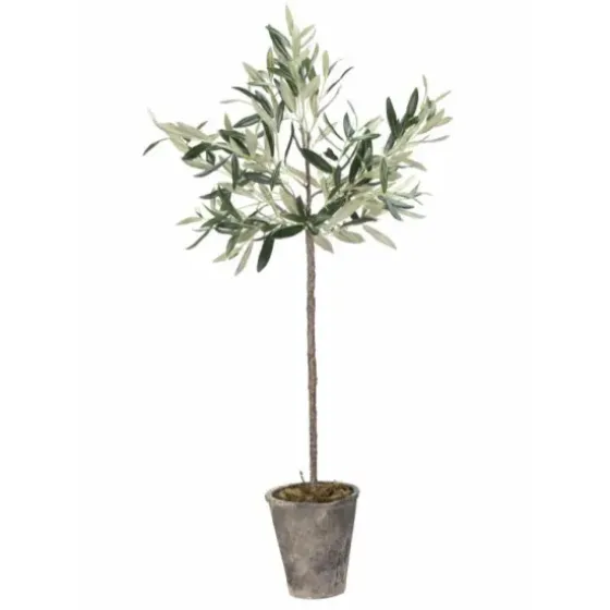 Oliivipuu H73cm Piha Ja Terassi|Oliivipuut