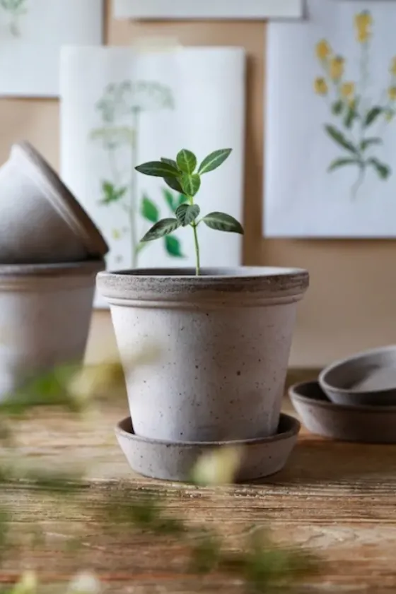 Discount Ruukku Flora RAW Grey, Ø 35 cm Ruukut Ja Maljakot