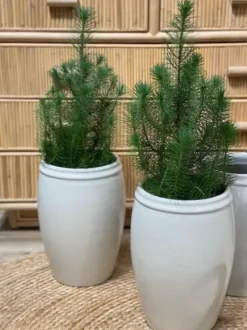 Online - Korkea ruukku 33cm, valkoinen Piha Ja Terassi|Ruukut Ja Maljakot
