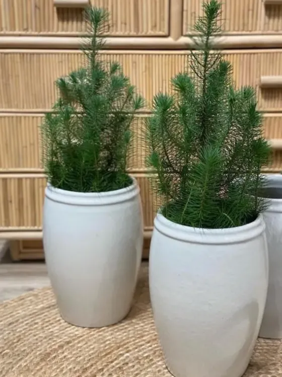 Online - Korkea ruukku 33cm, valkoinen Piha Ja Terassi|Ruukut Ja Maljakot