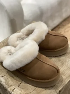 Best - Disquette Slipper, chestnut Tohvelit|Ugg