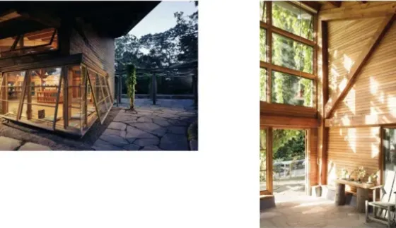 Wood - Cozy Interiors for Timeless Living Spaces kirja Kirjat